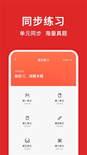 题拍拍app最新版本安装下载_题拍拍v2.7.6 安卓版