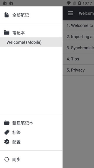 joplin中文版
