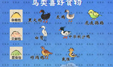桃源深处有人家哪些鸟食可以获得线索 鸟类喜好图鉴