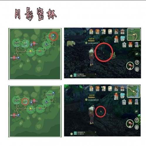 小森生活甲虫怎么获得2