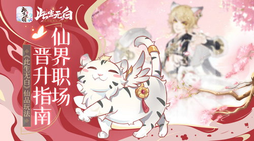 此生无白