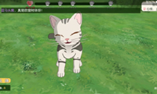 小森生活猫毛球怎么获得 猫毛球获取方法攻略